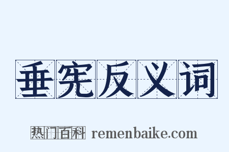 垂宪反义词是什么意思的图片